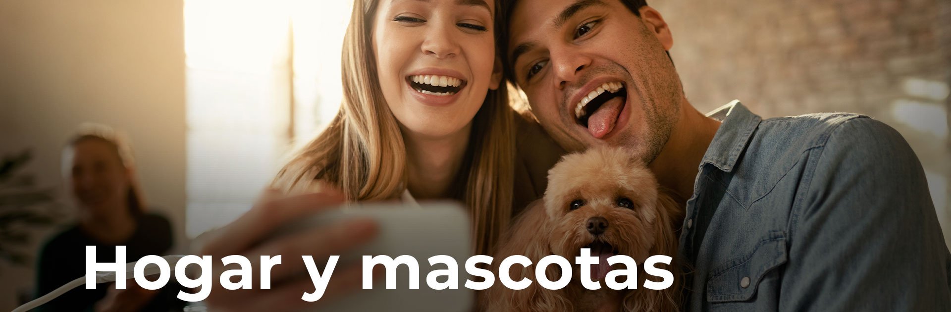 Servicio-ADA-Consultores-Seguro-DE-Hogar-Y-Mascoas